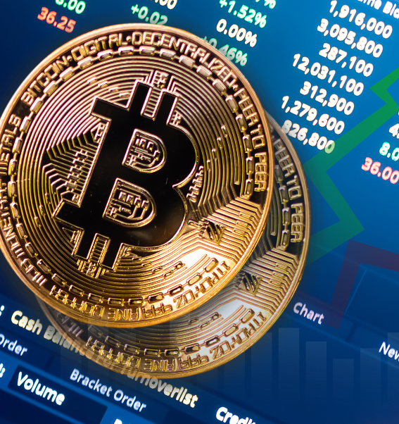 Crypto Investment